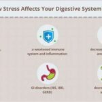How Stress Affects Gut Health And Solutions