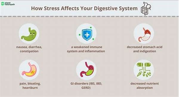How Stress Affects Gut Health And Solutions