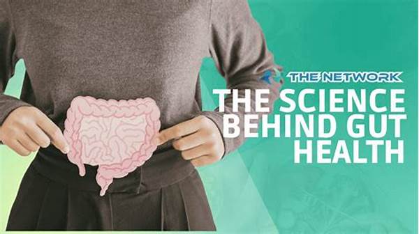 The Science Behind Gut Health And Energy