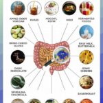 Top Probiotic Foods You Should Eat Daily