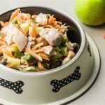 Resep Makanan Anjing Sehat