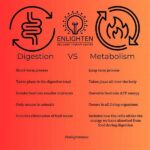 The 24-hour Difference: What Happens To Your Metabolism After An Intense Resistance Training Session!