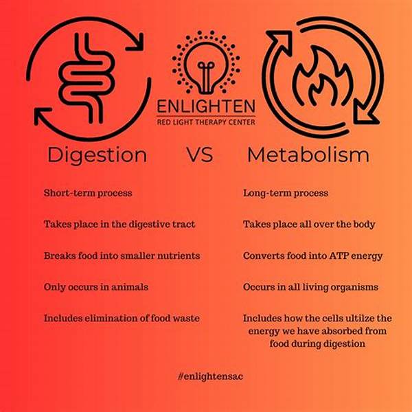 The 24-hour Difference: What Happens To Your Metabolism After An Intense Resistance Training Session!