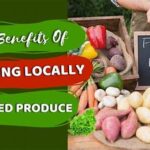 The In-season Power: Why Eating Locally Sourced Produce Boosts Nutrient Intake!