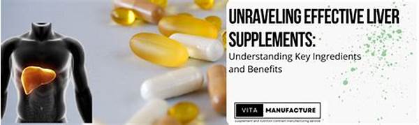 The Supplement Policy: The Key Ingredients To Look For In A Truly Effective Prebiotic!