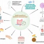 The $1 Probiotic Hack: Why This Simple Fermented Food Outperforms Expensive Supplements!