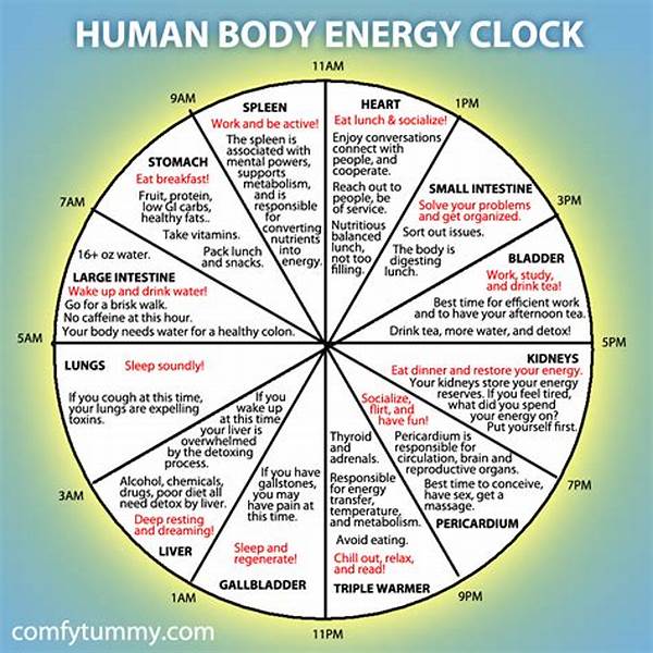 The Energy Clock: The Exact Time Of Day When Your Body Needs A High-protein Snack!