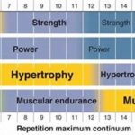 The Rep Range Policy: The Key To Choosing Sets And Reps For Your Specific Fitness Goal!