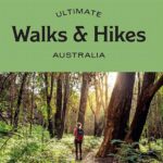 The Ultimate Escape: How To Use Nature Walks To Improve Gut Motility And Digestion!
