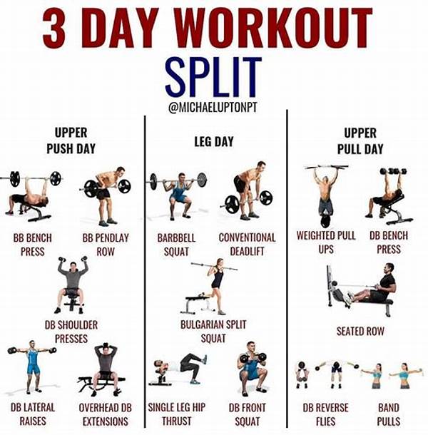 Ultimate Prep: How To Use A Workout Split To Ensure Every Muscle Group Gets Enough Rest!