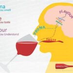 Stop Trading Taste For Health: Why Flavor Is Essential For Long-term Diet Compliance!